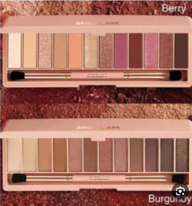 پالت سایه دوازده رنگ berry شیگلم